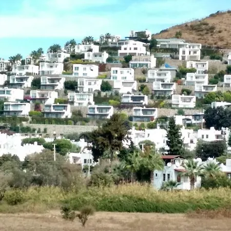 Safir Villen * 터그트레이스